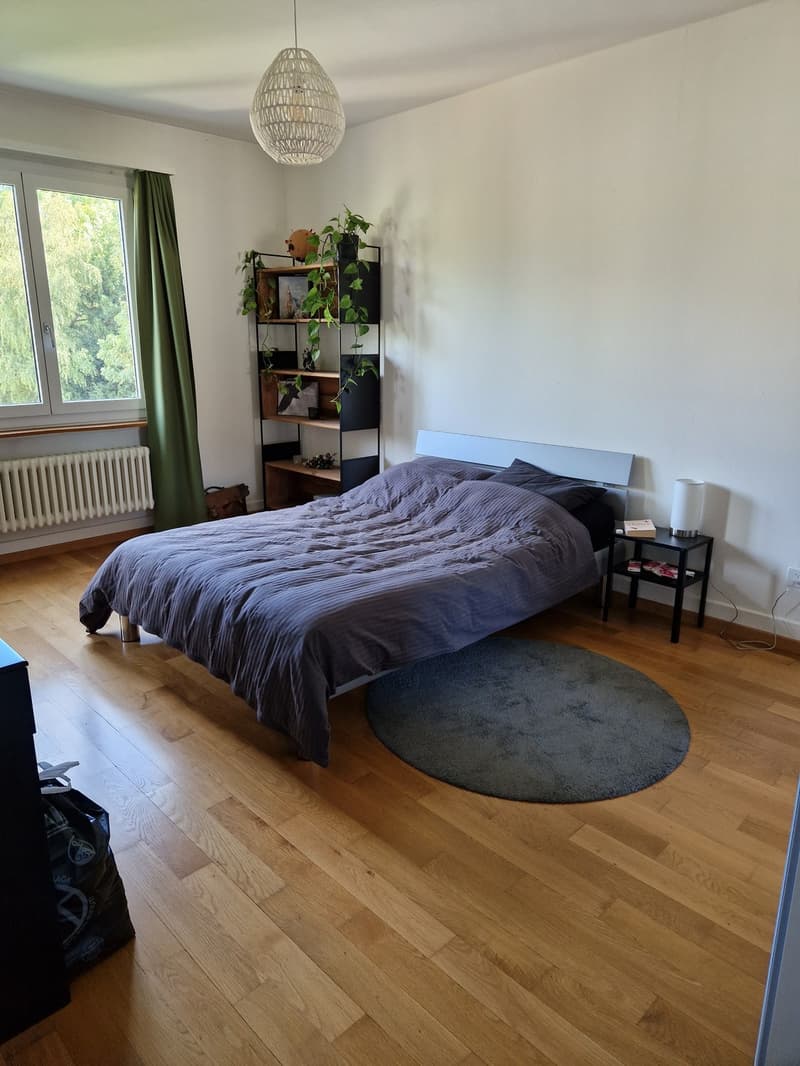 Möblierte 2.5-Zimmer-Wohnung nahe Rosengarten ab November 2026 bis Ende März 2027 (4)