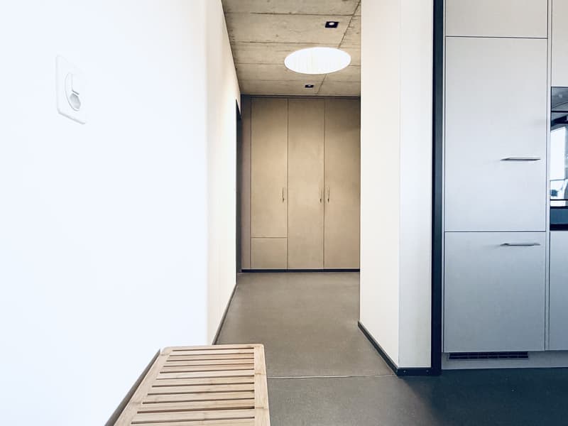 2er-WG: Moderner 3.5 Zimmer Attikawohnung, 100 m² mit riesiger Dachterrasse (Möbliert, Frau bevorzugt) (10)