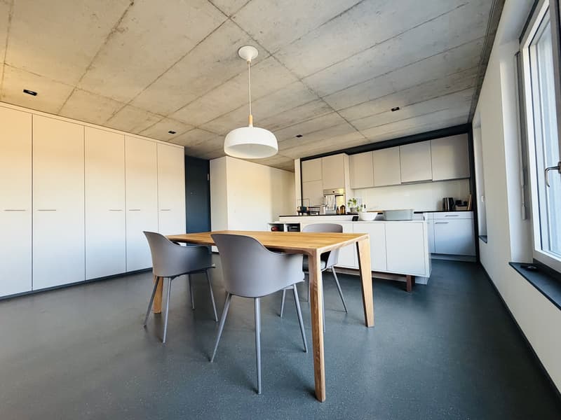 2er-WG: Moderner 3.5 Zimmer Attikawohnung, 100 m² mit riesiger Dachterrasse (Möbliert, Frau bevorzugt) (1)