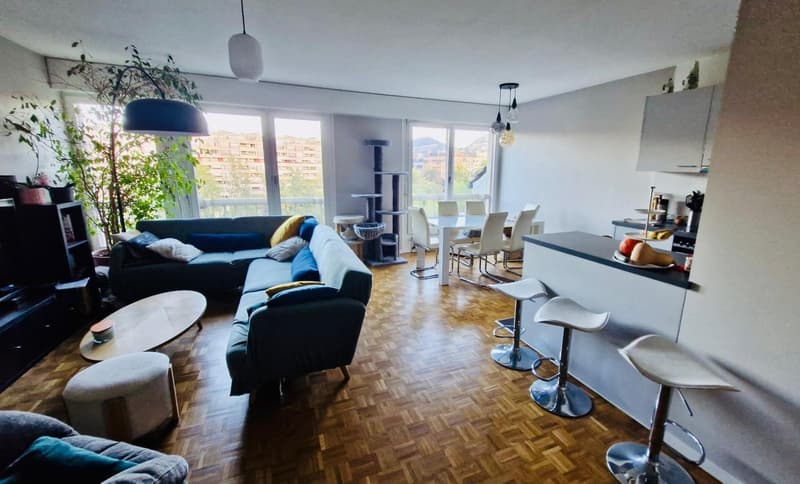 Bel appartement de 4 pièces, calme, lumineux, traversant, 5è étage avec ascenseur aux portes de Carouge (1)