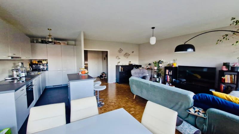 Bel appartement de 4 pièces, calme, lumineux, traversant, 5è étage avec ascenseur aux portes de Carouge (3)