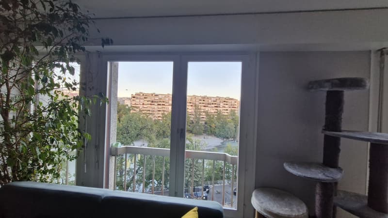 Bel appartement de 4 pièces, calme, lumineux, traversant, 5è étage avec ascenseur aux portes de Carouge (5)