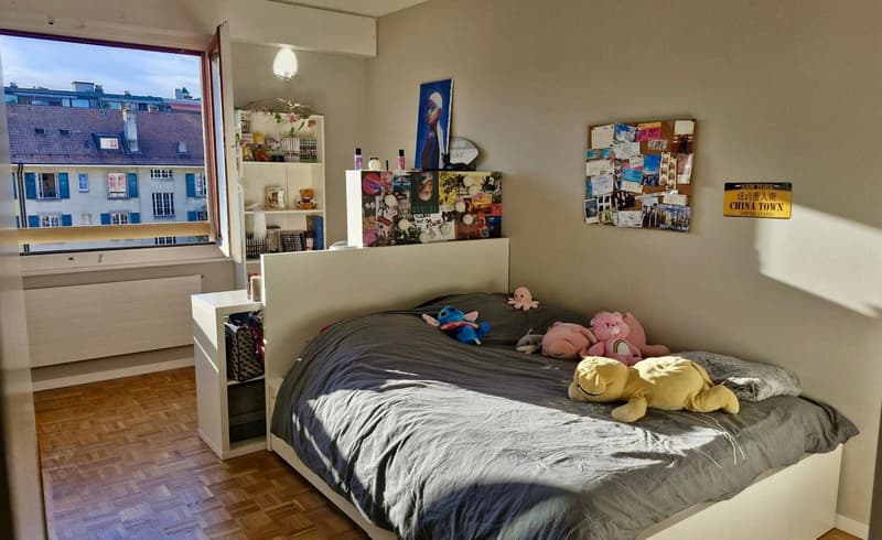 Bel appartement de 4 pièces, calme, lumineux, traversant, 5è étage avec ascenseur aux portes de Carouge (8)