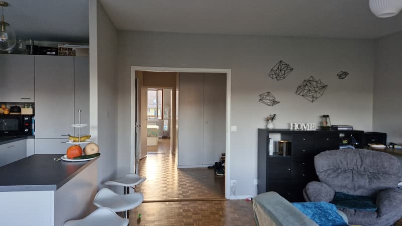 Bel appartement de 4 pièces, calme, lumineux, traversant, 5è étage avec ascenseur aux portes de Carouge (10)