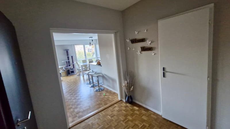 Bel appartement de 4 pièces, calme, lumineux, traversant, 5è étage avec ascenseur aux portes de Carouge (4)
