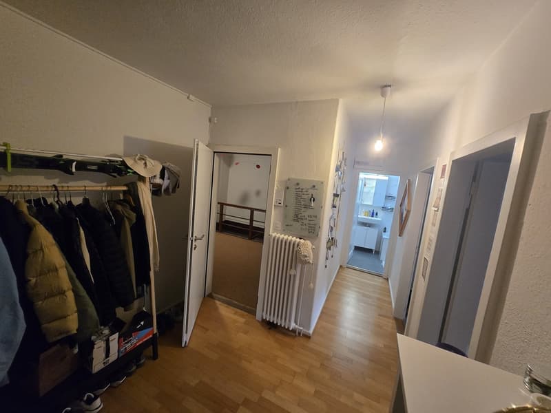 Apartment with a river view in Baden (8)