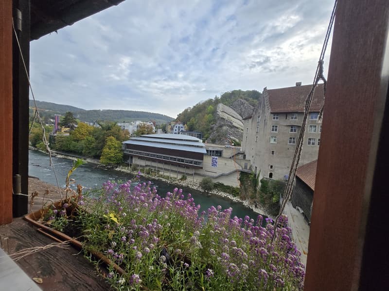 Apartment with a river view in Baden (10)