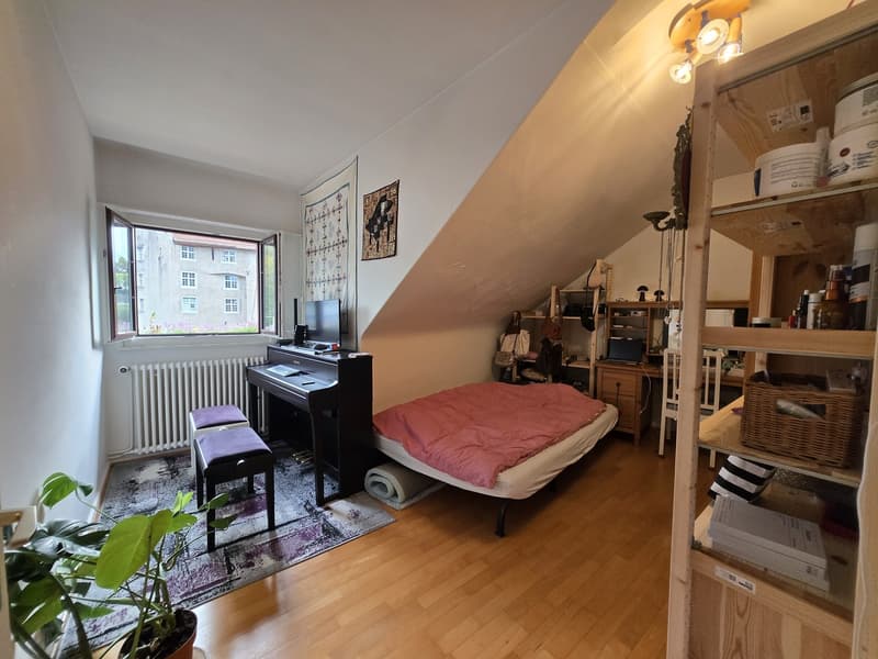 Apartment with a river view in Baden (3)