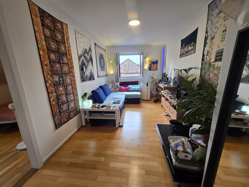 Apartment with a river view in Baden (1)