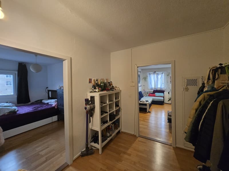Apartment with a river view in Baden (9)