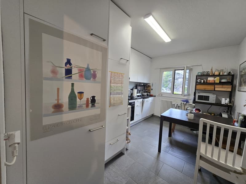 Apartment with a river view in Baden (5)