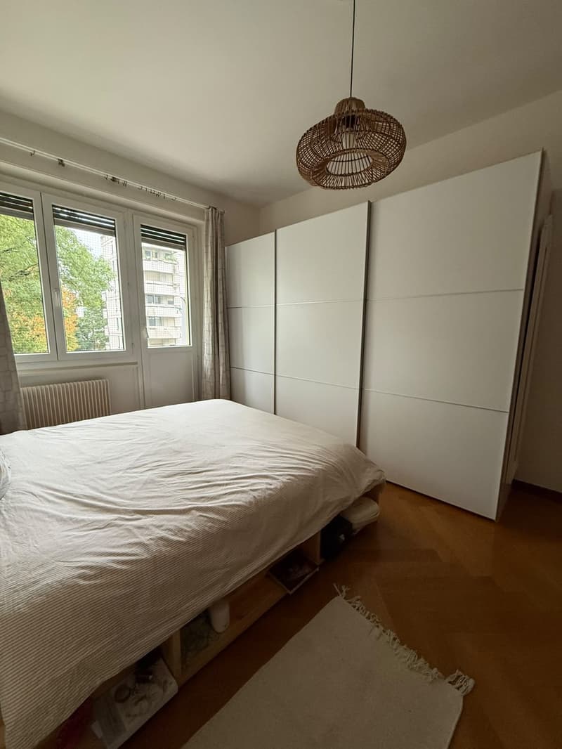 Charmant 3,5 pièces avec balcon traversant à la Servette (7)