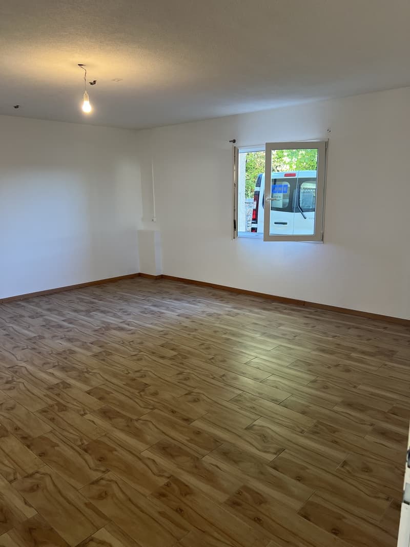 Appartement 2 pieces a montherod (1)
