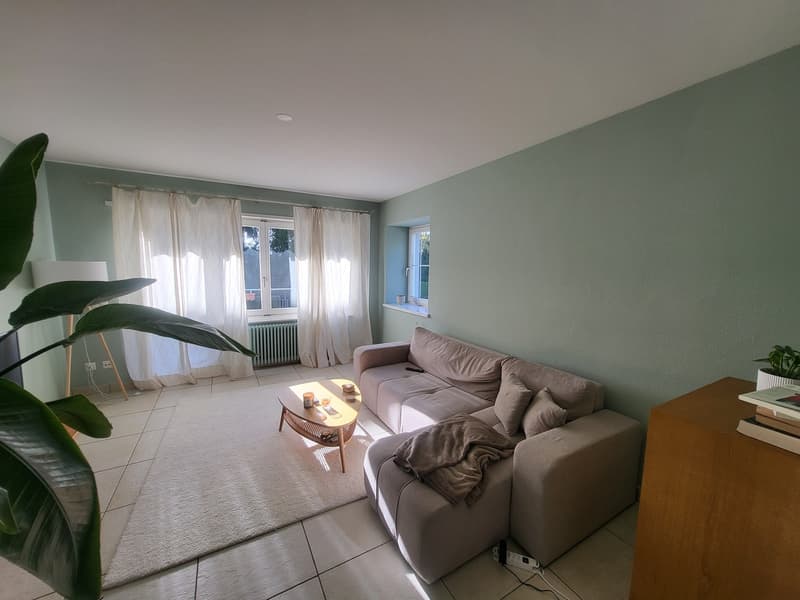 2 ½ Zimmer-Wohnung, 8044 Zürich (1)
