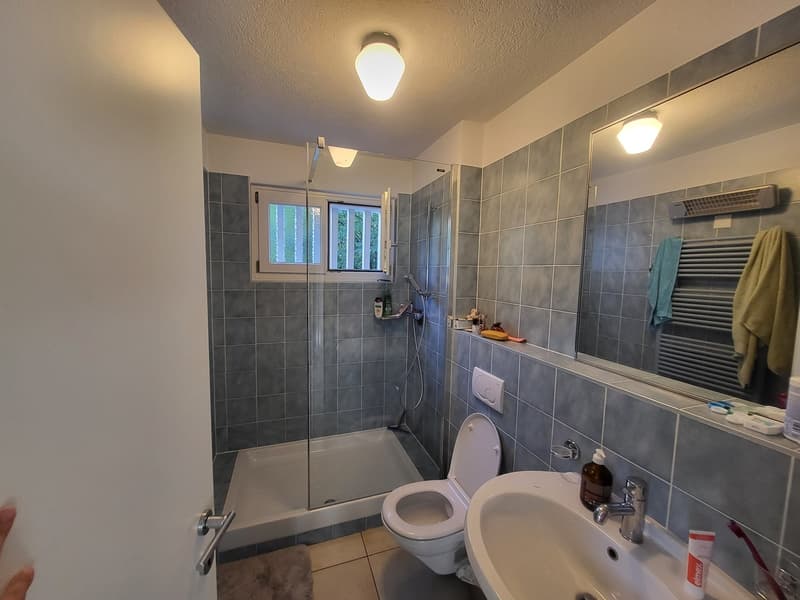 2 ½ Zimmer-Wohnung, 8044 Zürich (4)