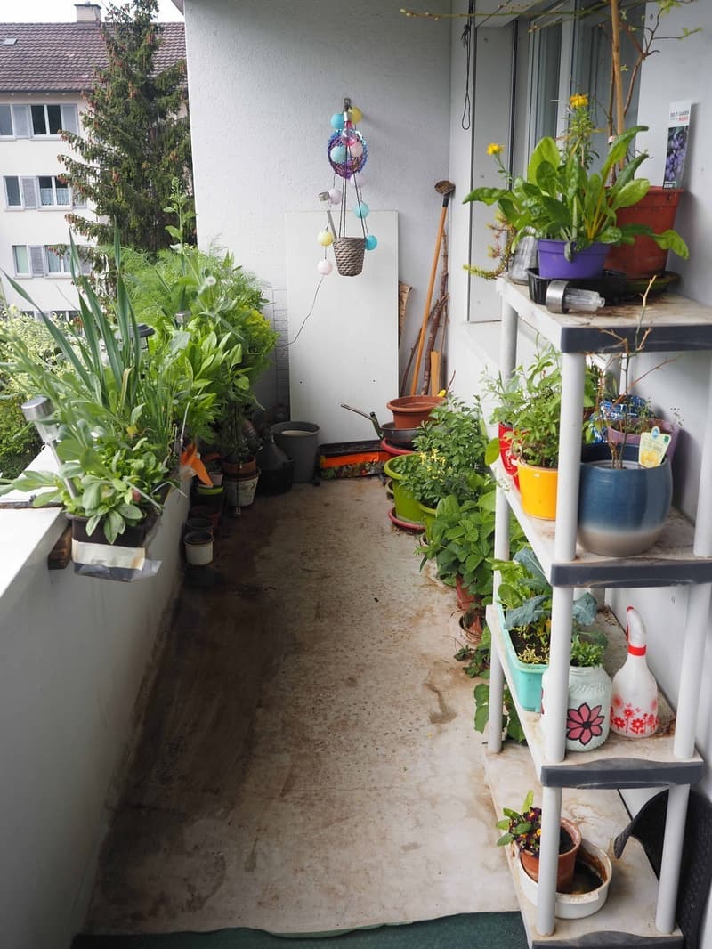 1 relaxed room close Triemli (5)