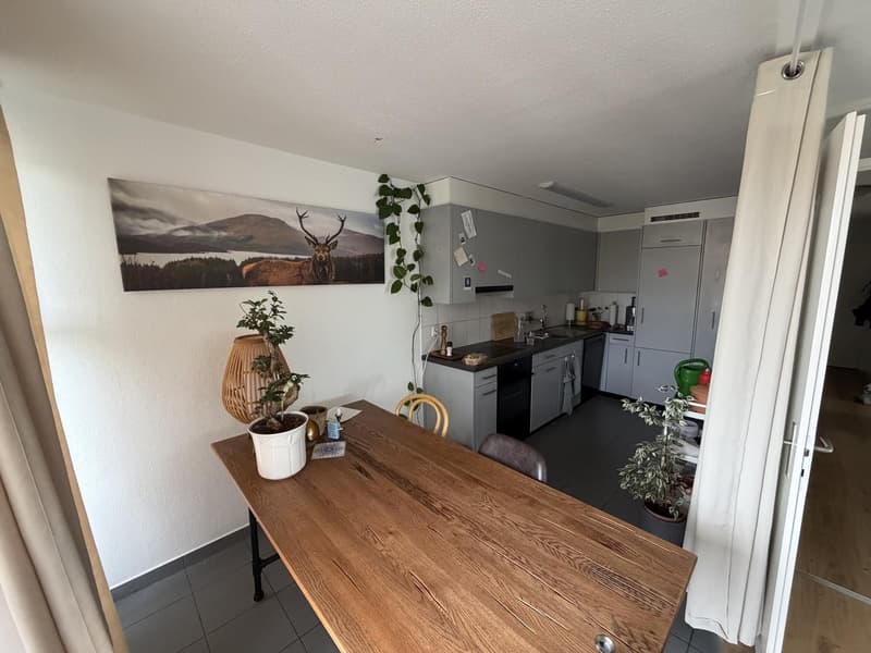Helle Wohnung zur Untermiete (mobiliert) (4)