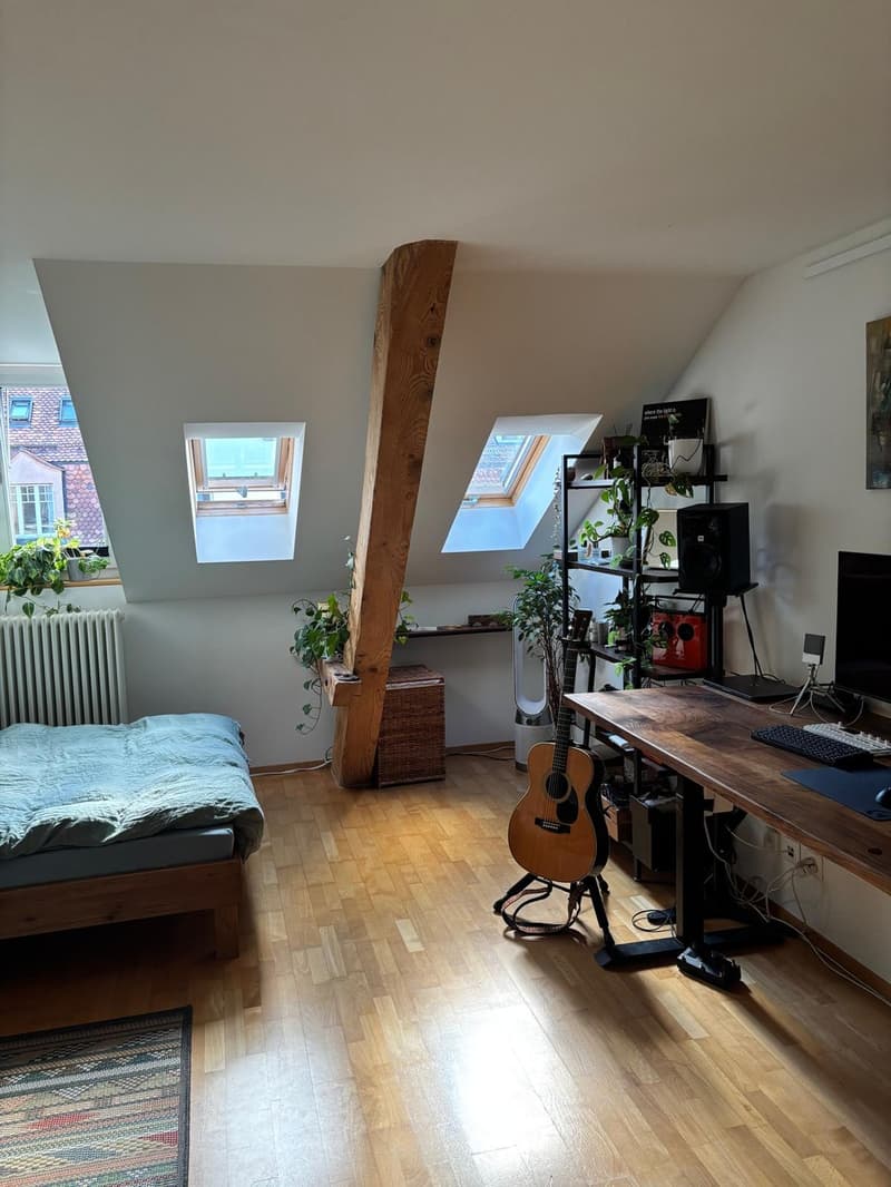 Big room in beatiful communal shared flat (2)