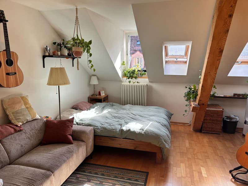 Big room in beatiful communal shared flat (1)