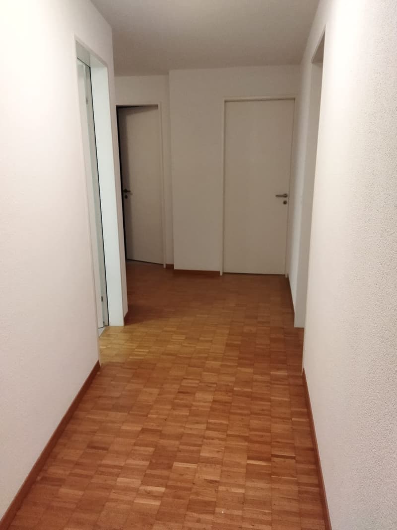 Room in a flat in Dietlikon (6)