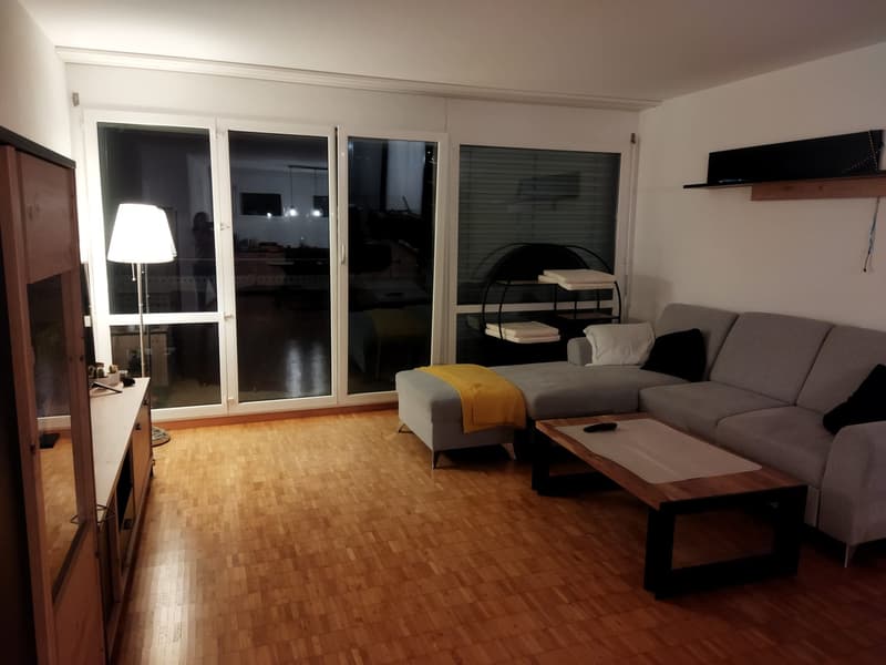 Room in a flat in Dietlikon (4)