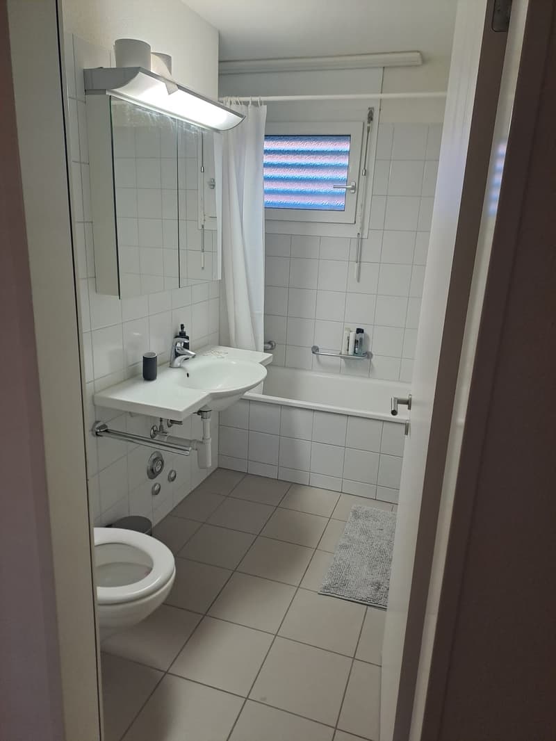 Room in a flat in Dietlikon (2)