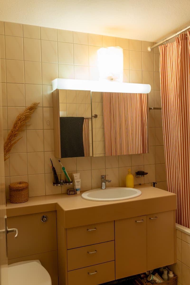 Helle möblierte 3-Zimmer-Wohnung mit Pilatusblick und 2 Balkonen zur befristeten Untermiete (7)