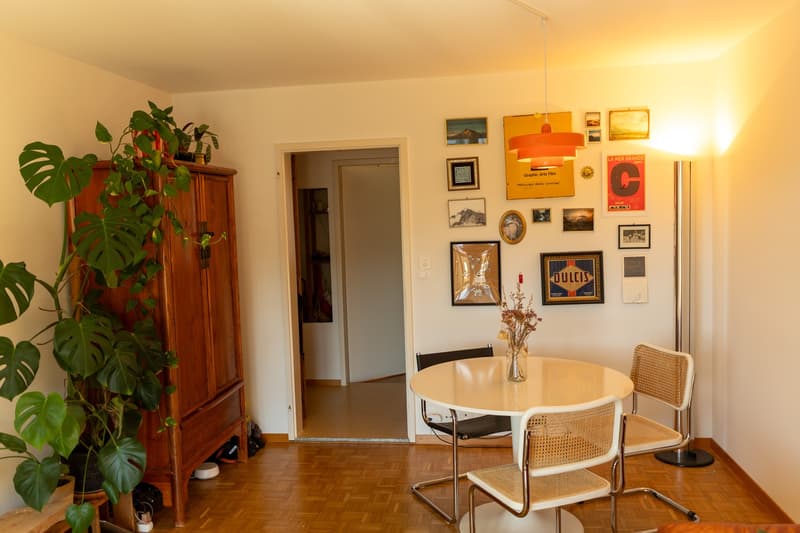 Helle möblierte 3-Zimmer-Wohnung mit Pilatusblick und 2 Balkonen zur befristeten Untermiete (4)