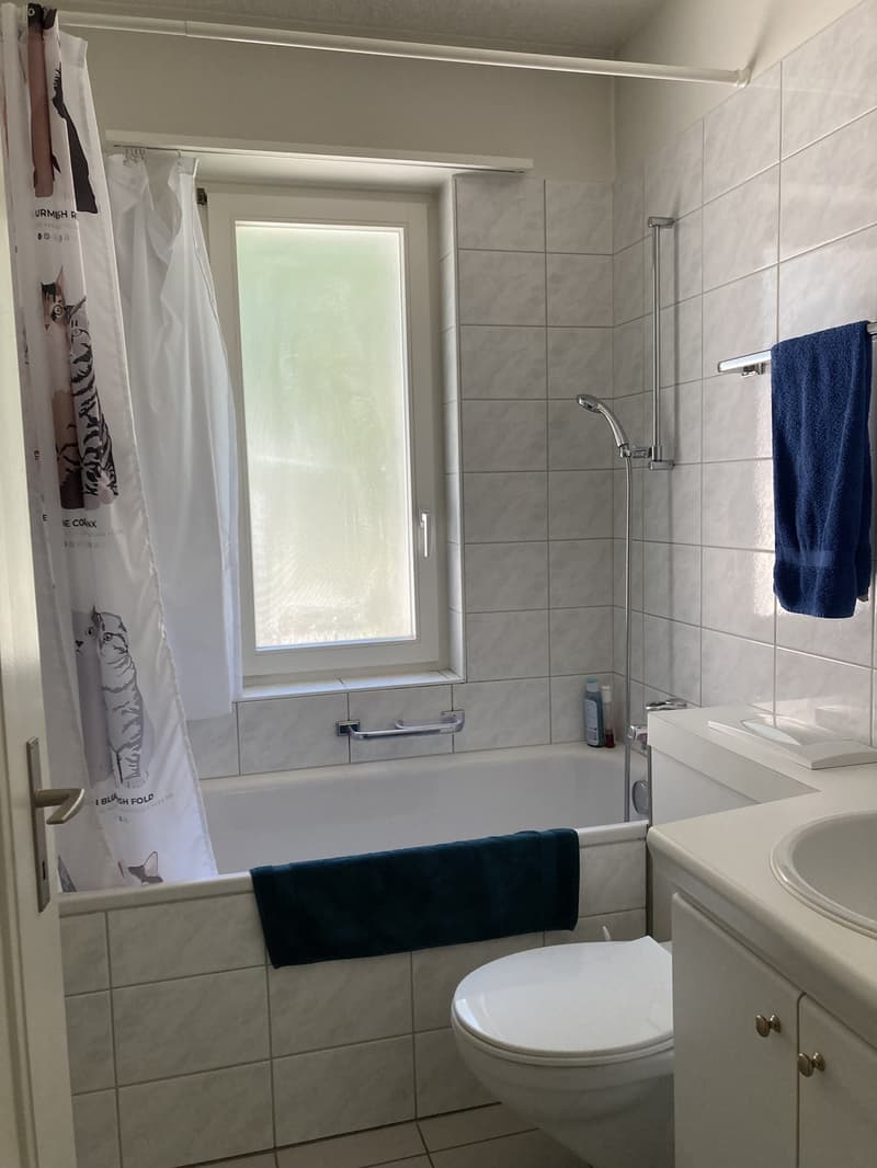 Helle 3-Zimmer-Wohnung nahe Europaplatz und Inselspital (5)
