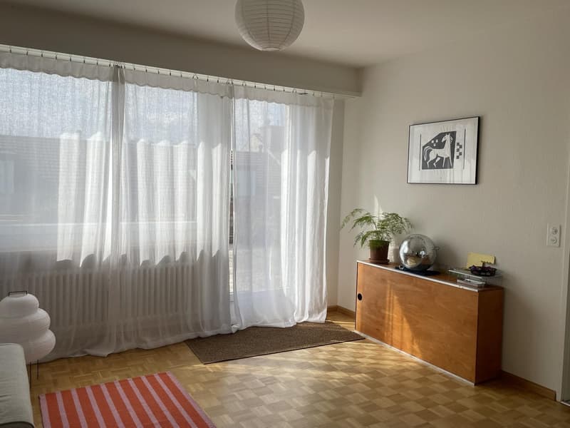 Hello & grosse 3.5-Zi-Dachwohnung in der Breite (1)