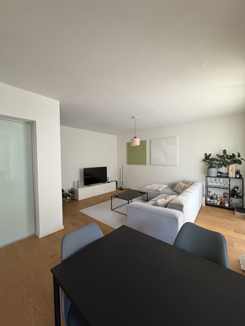 Helle 2.5 Zimmer Wohnung Nähe Rhein zu vermieten (2)