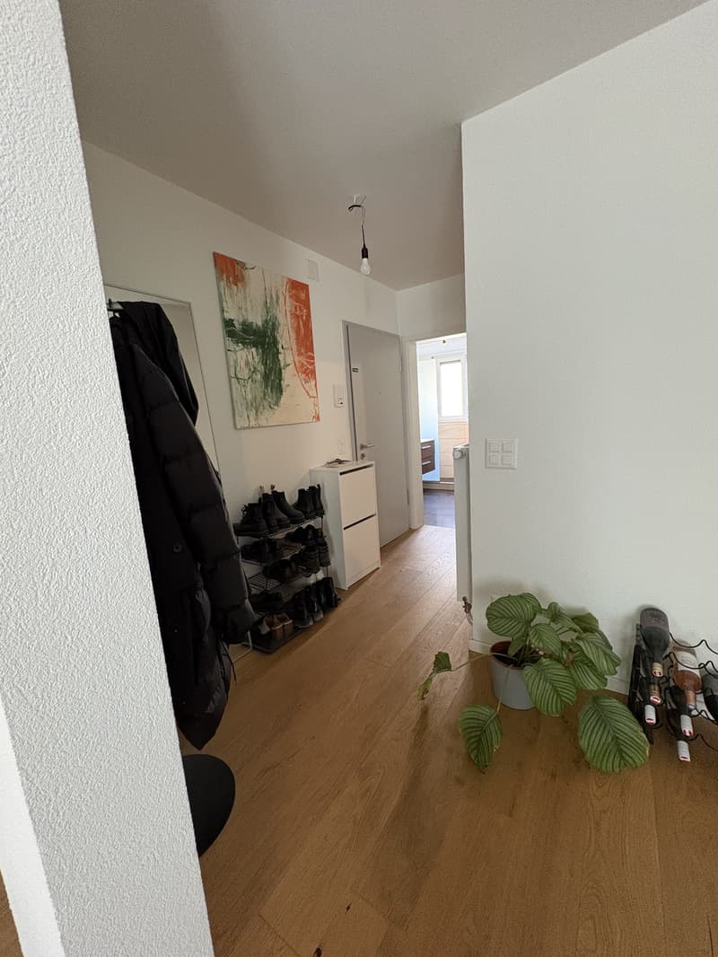 Helle 2.5 Zimmer Wohnung Nähe Rhein zu vermieten (9)