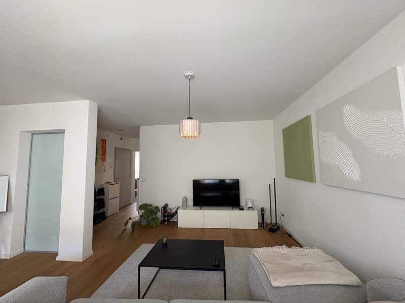 Helle 2.5 Zimmer Wohnung Nähe Rhein zu vermieten (3)