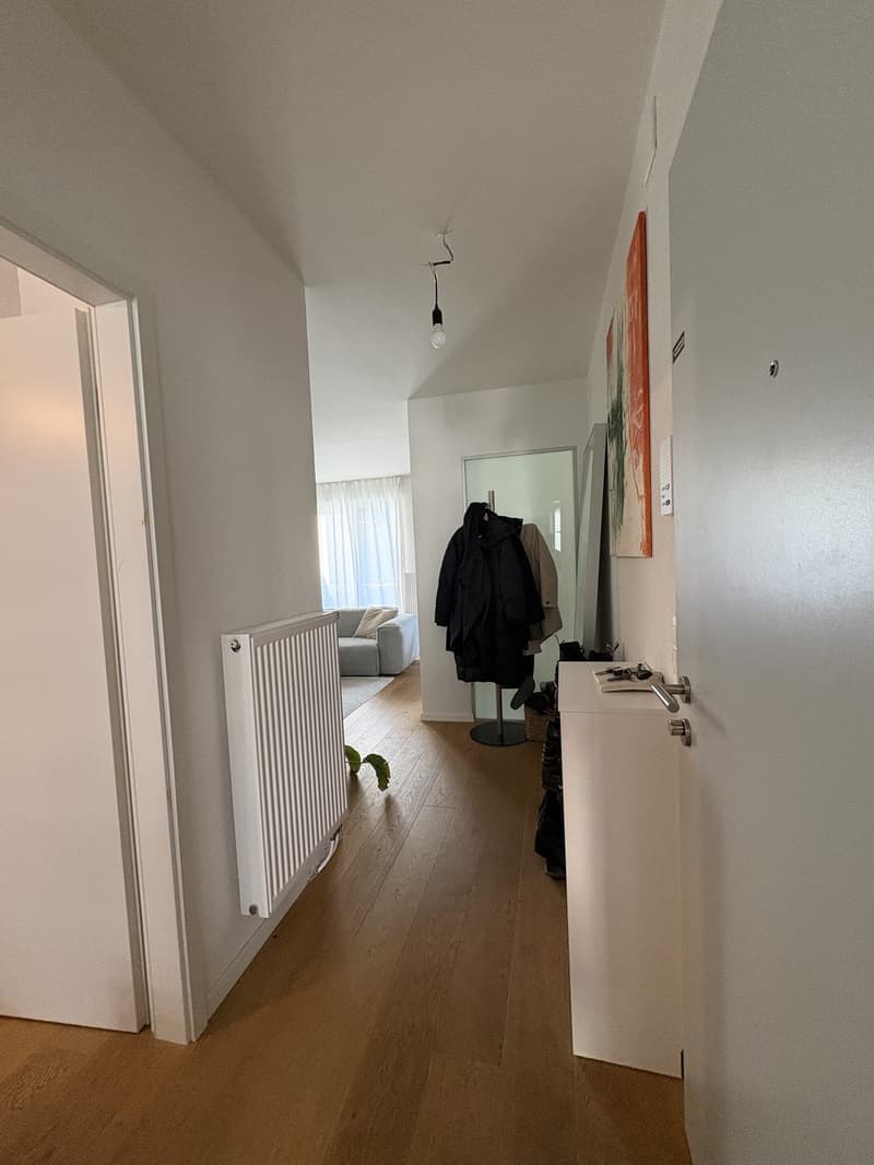 Helle 2.5 Zimmer Wohnung Nähe Rhein zu vermieten (10)