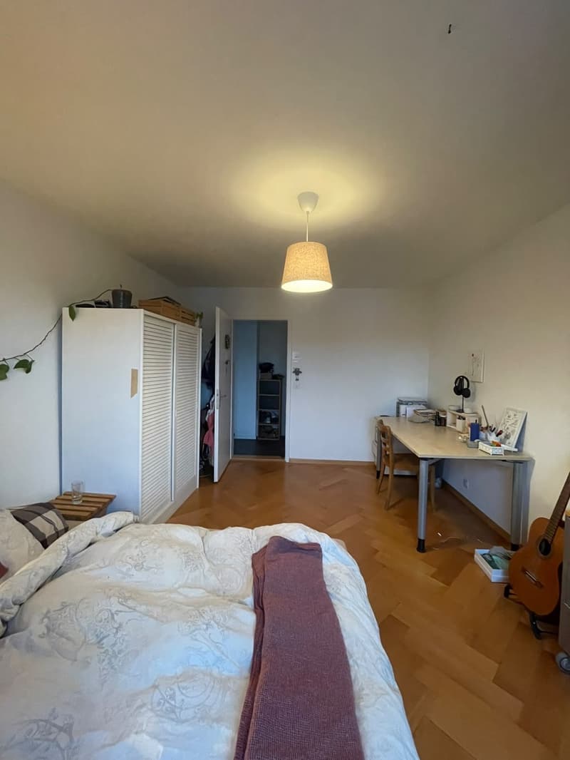 WG-Gspänli gesucht (2)