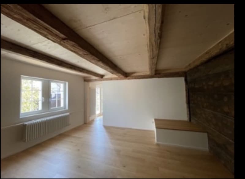 2 1/2 Zimmer-Wohnung in Oberwinterthur (3)