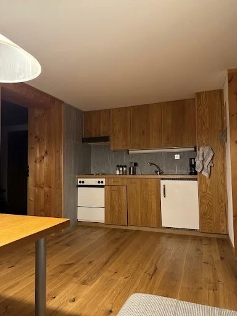 2.5 Zimmerwohnung 45m2 (auch befristet) (1)