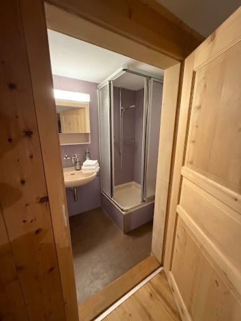 2.5 Zimmerwohnung 45m2 (auch befristet) (3)