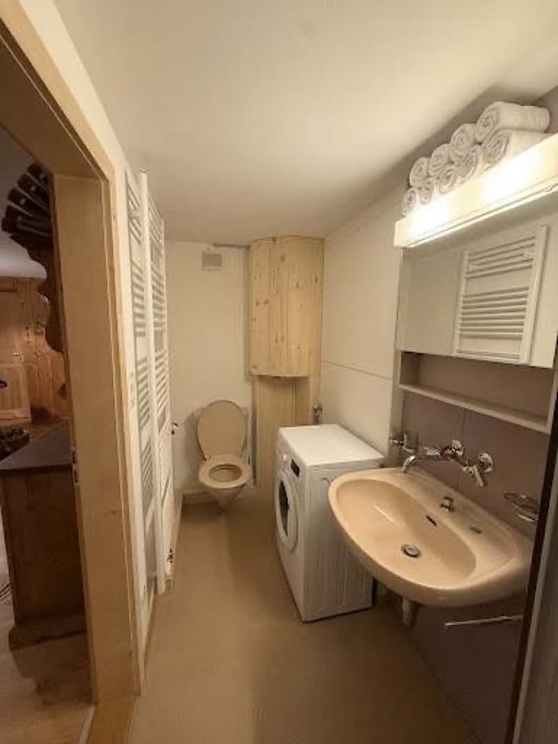 2.5 Zimmerwohnung 45m2 (auch befristet) (4)