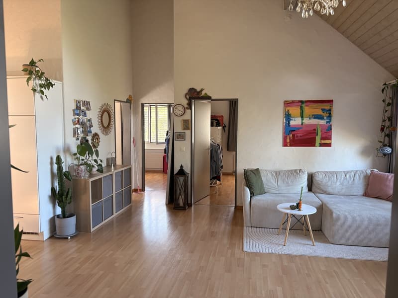 Zentrale Wohnung in Schwerzenbach (13)