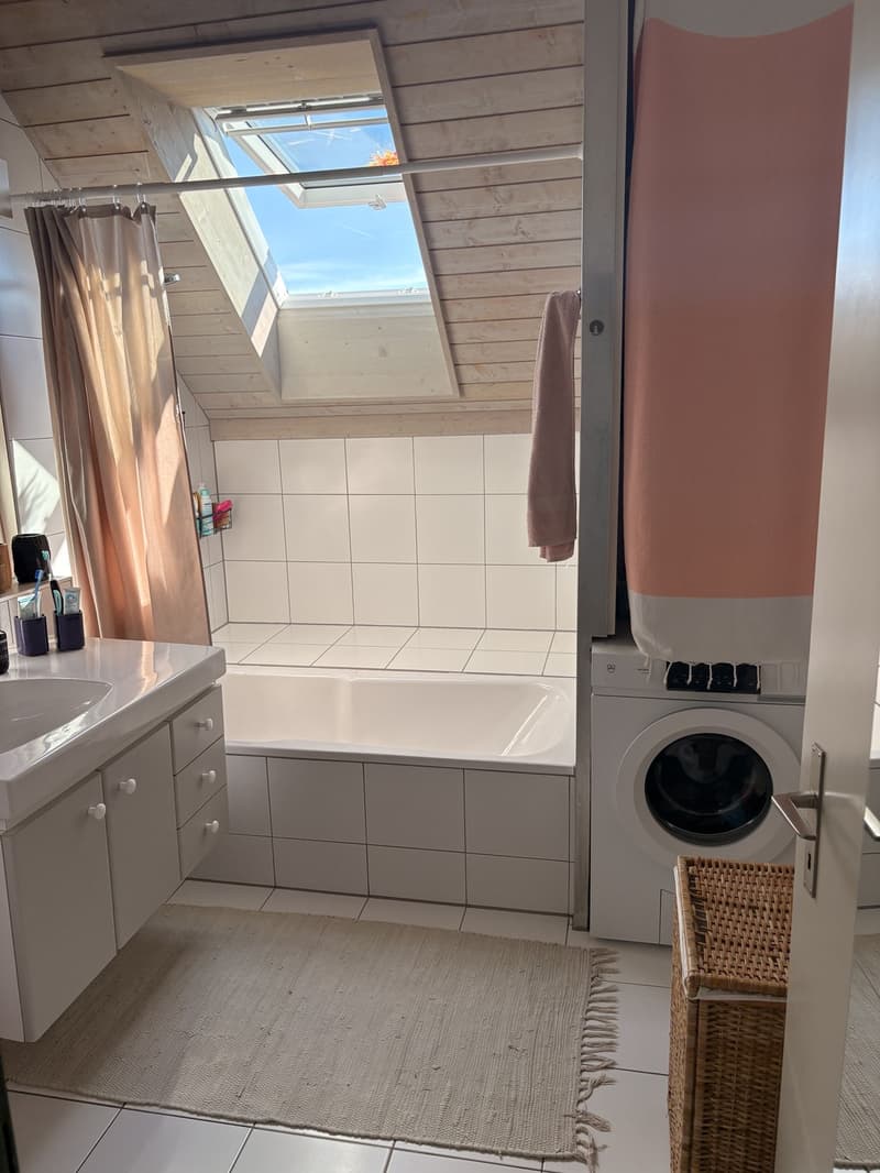 Zentrale Wohnung in Schwerzenbach (7)