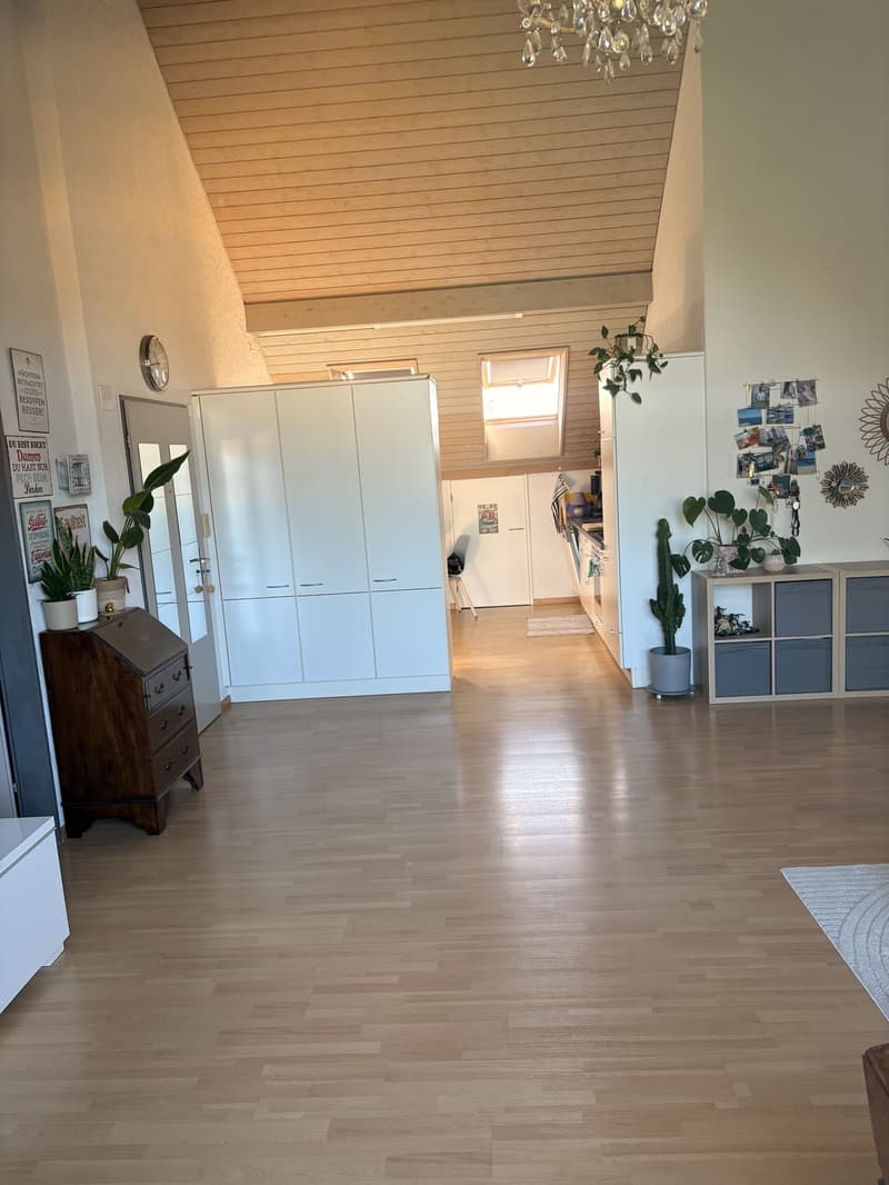 Zentrale Wohnung in Schwerzenbach (11)