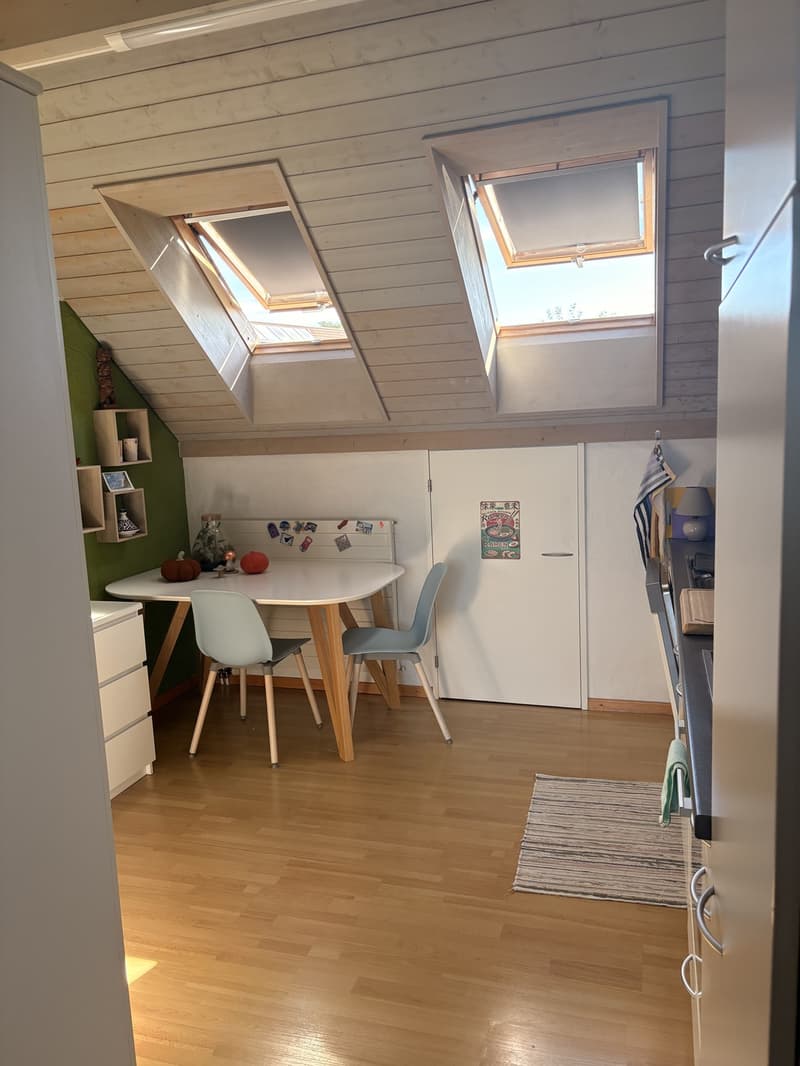 Zentrale Wohnung in Schwerzenbach (12)