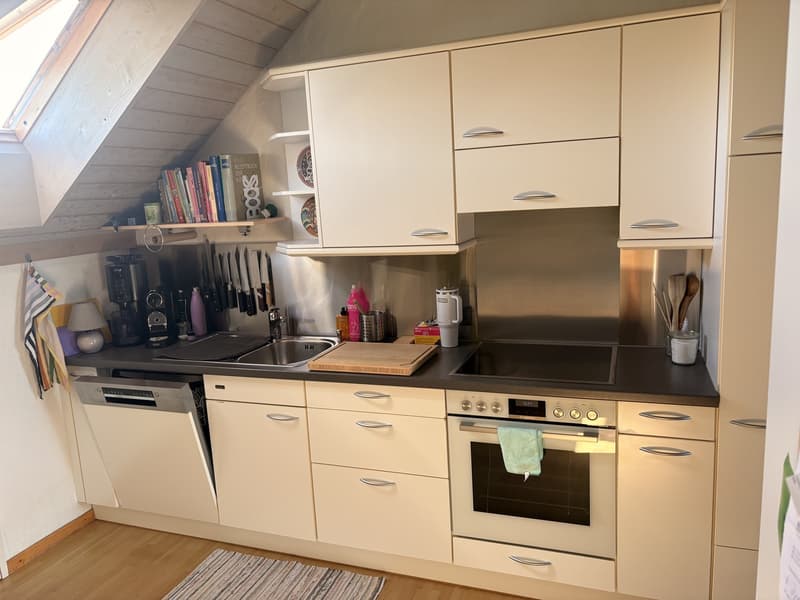 Zentrale Wohnung in Schwerzenbach (8)