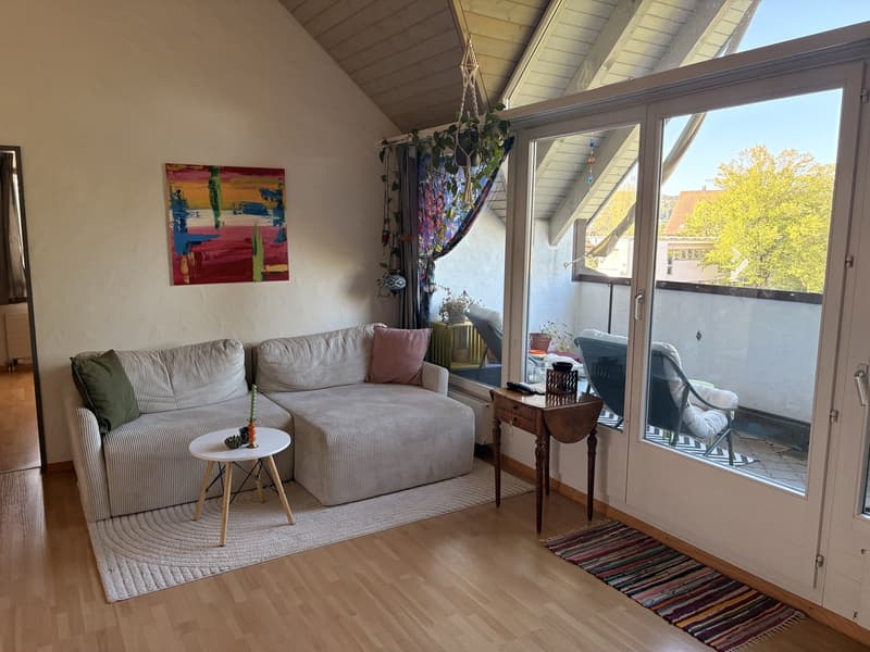 Zentrale Wohnung in Schwerzenbach (1)