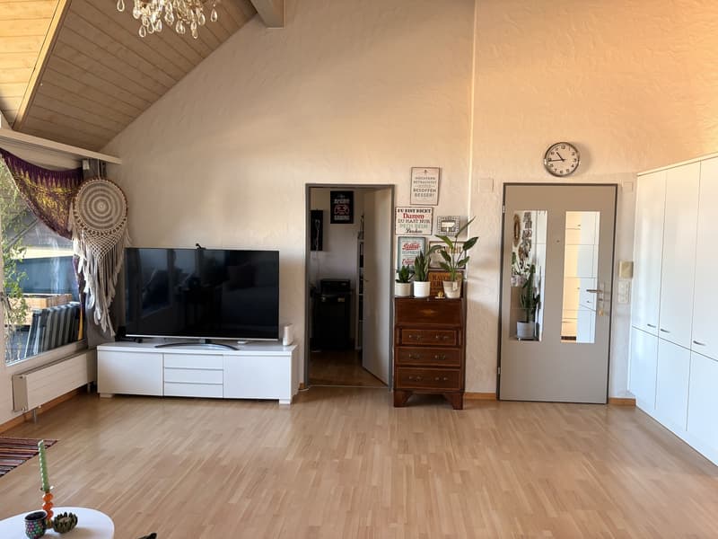 Zentrale Wohnung in Schwerzenbach (10)