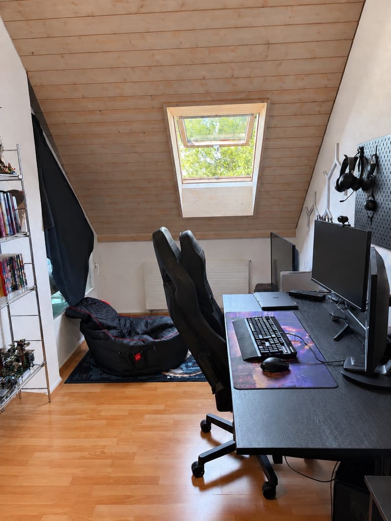 Zentrale Wohnung in Schwerzenbach (5)