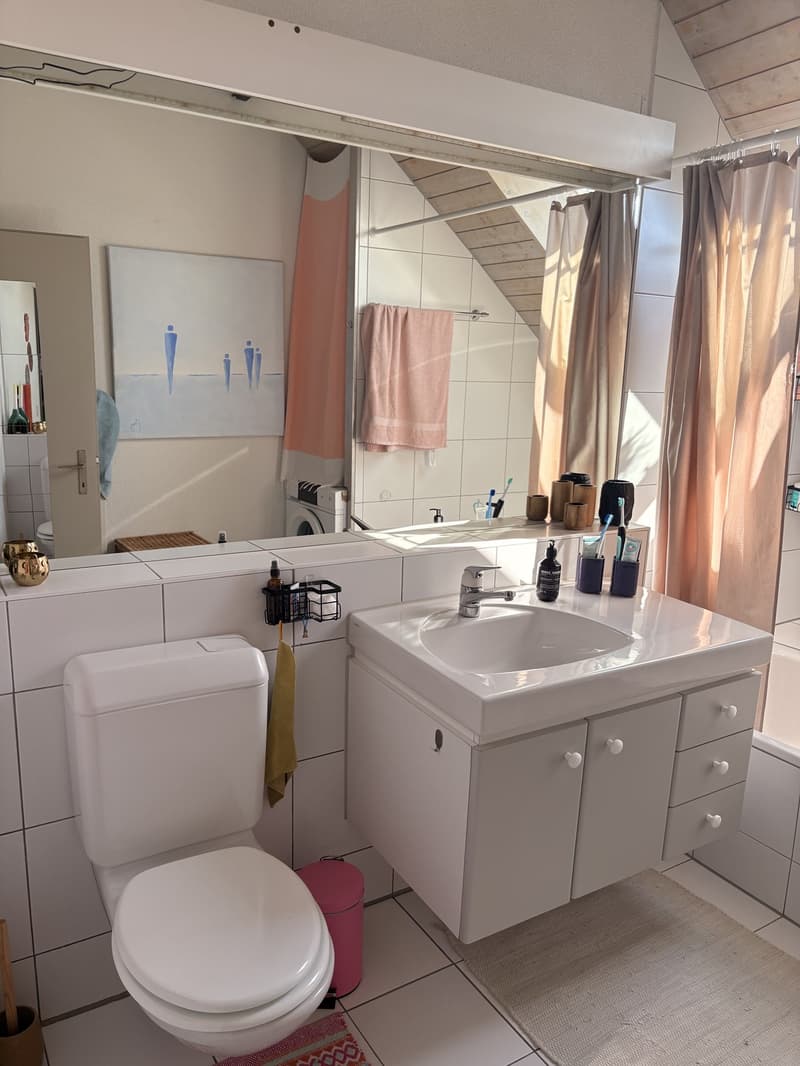 Zentrale Wohnung in Schwerzenbach (6)
