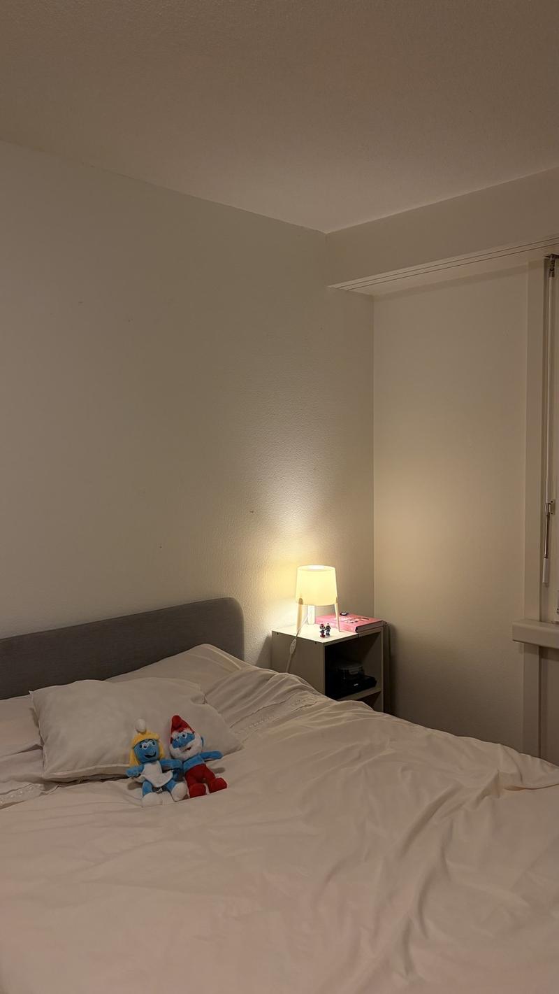 Room in shared apartment - 14.7 m2 (1)