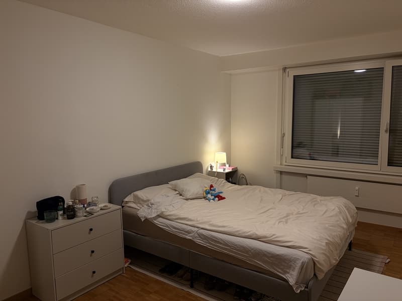 Room in shared apartment - 14.7 m2 (2)